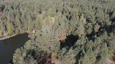 Small Lake Surrounded by Pine Forest Stock Footage 98641298