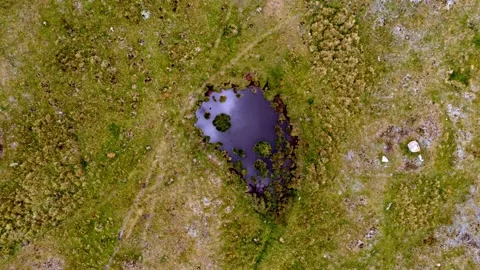 Small Lake on Top of Mountain - end of summer 2021 Видео 160258434