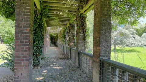 Small laminar flowing river in the forest Stock Footage 159610735