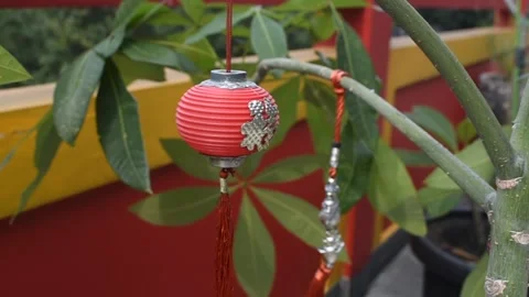Small Lantern on the Green Leaves Stock Footage 173652278