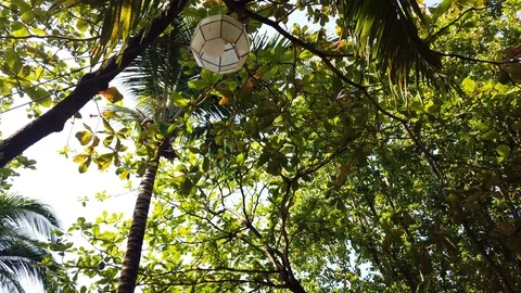 Small Lantern Hanging In Philippine Nature Stock Footage 120997809