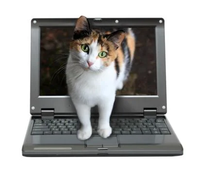 Small laptop Stock-Illustration