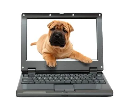 Small laptop Stock-Illustration
