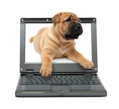 Small laptop Stock-Illustration