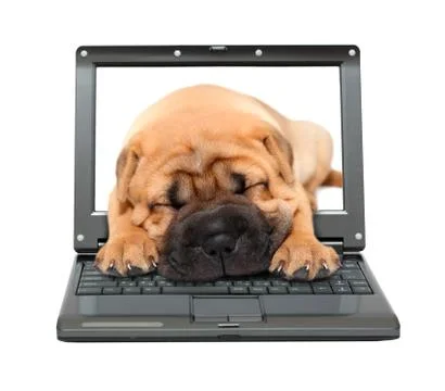 Small laptop Stock-Illustration