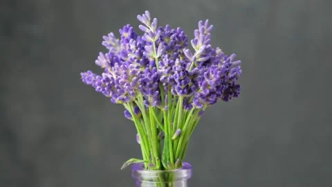 Small lavender bouquet on gray background. Stock Footage 209142997