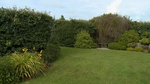 Small lawn within a garden between hedges Stock-Footage 118996896