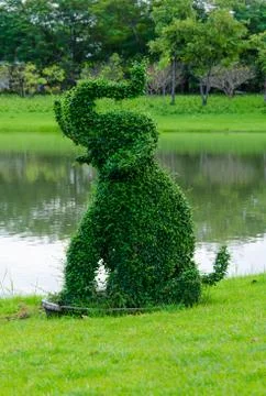 Small leaf tree can force to shape same to elephant in the park Stock Photos