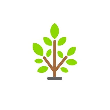Small, leafy green seedling on the ground. Young tree or shrub. Vector flat.. Stock Illustration