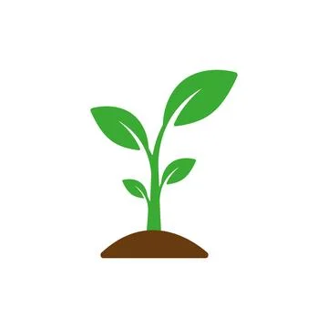 Small, leafy green seedlings on the ground. Vector drawing. Stock Illustration