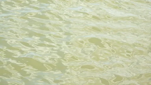 Small Leaves Floating on Rippling River Surface Stock Footage 337415927