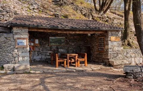 Small library in the woods. Stock Photos