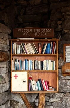 Small library in the woods. Stock Photos