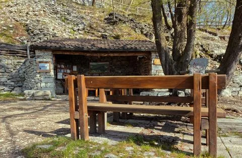 Small library in the woods. Stock Photos