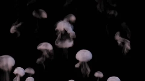 Small light clouds of smoke in the form of jellyfish quickly rise up against a Stock Footage 169025852