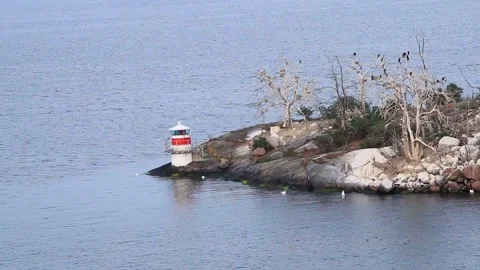 Small lighthouse and trees with birds on island in Sweden Stock Footage 182460243