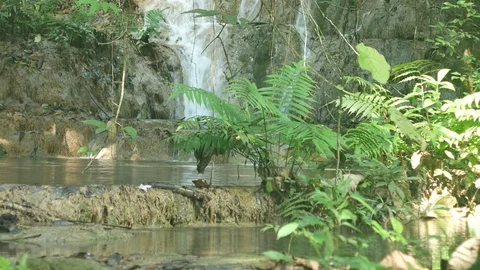 Small limestone waterfall scene Stock Footage 99191152
