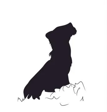 Small lion sits, silhouette, vector. Stock Illustration