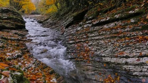 Small lively Psaho river streams through the autumn stone gorge in Caucasus 4K 動画素材 82412975