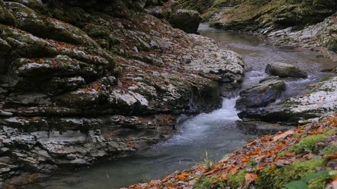 Small lively Psaho river streams through the autumn stone gorge in Caucasus 4K Stock Footage 94520445