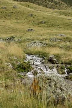 A small, lively stream flows over moss-covered rocks in a grassy meadow Stock Photos