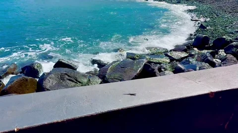 A small lizard runs on the parapet of the path above the ocean. Stock Footage 304585027