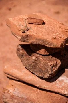 Small lizard on top of the stone cairn - hunter canyon hiking trail moab utah Stock Photos