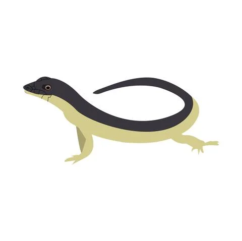 Small lizard on white 스톡 일러스트