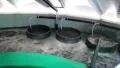 Small, local, indoors sewage treatment plant. HD Footage