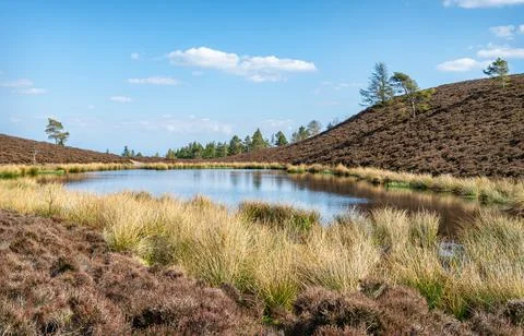 Small Loch between Eildon Mid Hill and Eildon Wester Hill in the Scotland Stock-Fotos