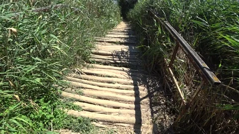 Small log bridge Stock Footage 136593640