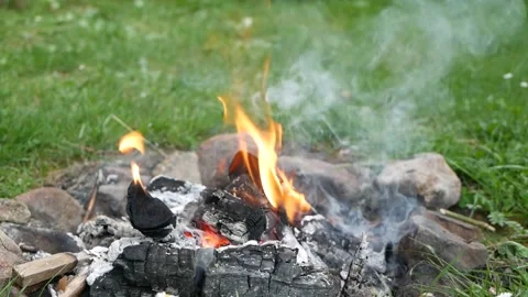 Small log camp fire with embers and charcoal Stock Footage 279274427