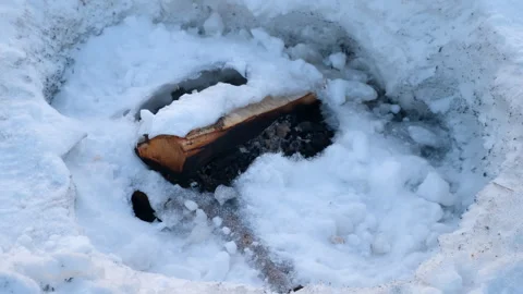 Small log in forest snow in winter, close-up view. Snow ice in ground. Video stock 276351586