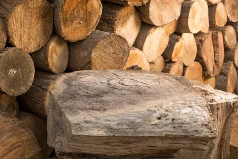 Small logs and a big table like log, for food setup Stock Photos