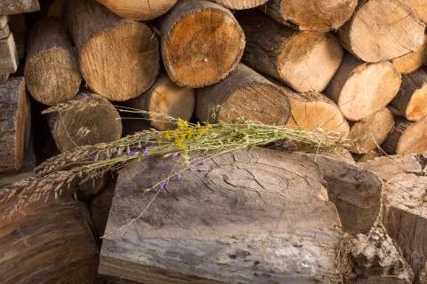 Small logs and a big table like log, for food setup Stock Photos