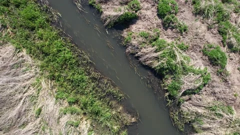 A small lowland river Stock Footage 239563610