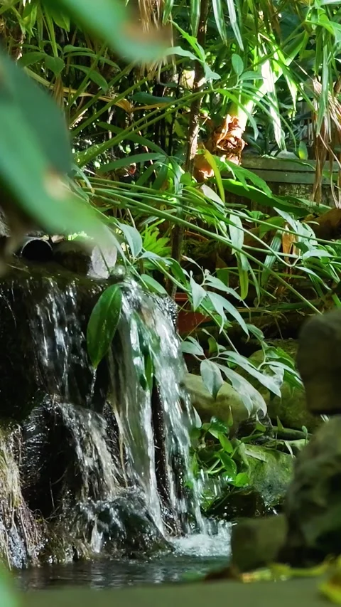 Small lush waterfall flowing over rocks Stock-Footage 327110998