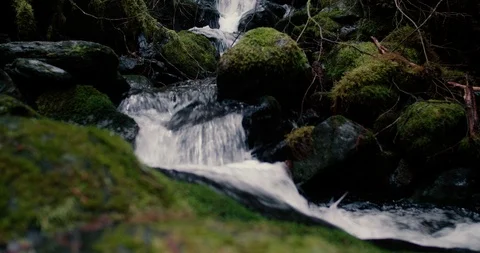 Small Lush Waterfall in the North Cascade Mountains Stock Footage 100600258