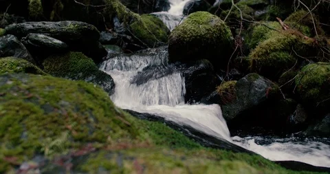 Small Lush Waterfall in the North Cascade Mountains Stock Footage 100600344