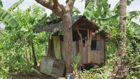 A small makeshift shack in the jungle of the philippines Stock Footage 76336218
