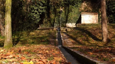A small man-made stream surrounded by lush vegetation. Captured in Segovia Stock Footage 121419522