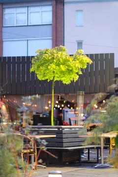 A small maple tree in a pot on the dais of a street cafe Stock Photos