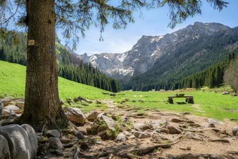 Small Meadow Valley in Tatra mountains, Poland Foto stock