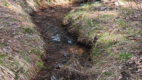 A Small Meandering Creek Stock Footage 188803416