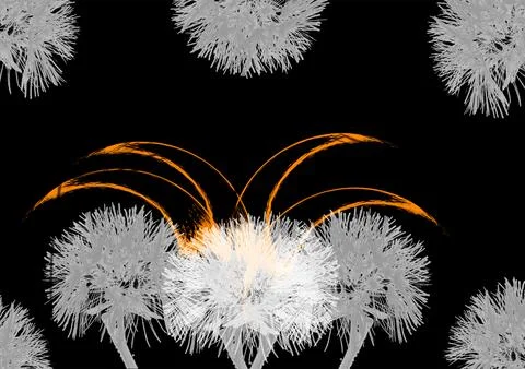 Small medium-sized open flower buds lying on the surface of a black canvas, Stock-Illustration