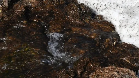 Small meltwater stream Stock Footage 92841755