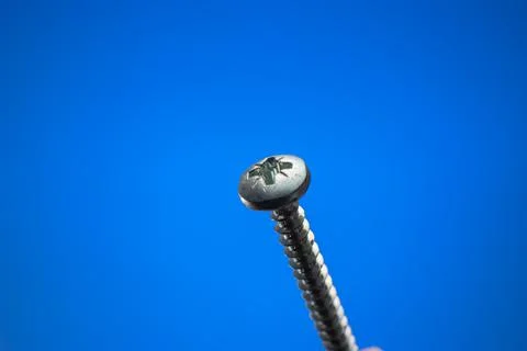Small metal threaded screw. Close up studio macro shot, isolated on blue back Stock-Fotos