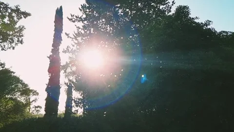 Small midges fly in the rays of sunlight. Insects in the rays of the setting sun Video stock 258292566