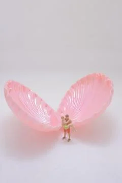 Small Miniature Pair Stands Within Open Pink Shell Stock Photos
