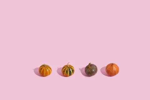 Small minimal pumpkins with shadow on pastel pink background. Holiday of harvest Stock Photos